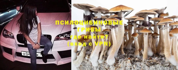 молекула духа Алексеевка