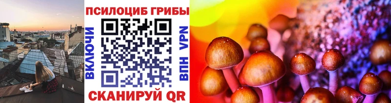 МЕГА зеркало  Тогучин  Псилоцибиновые грибы Magic Shrooms 
