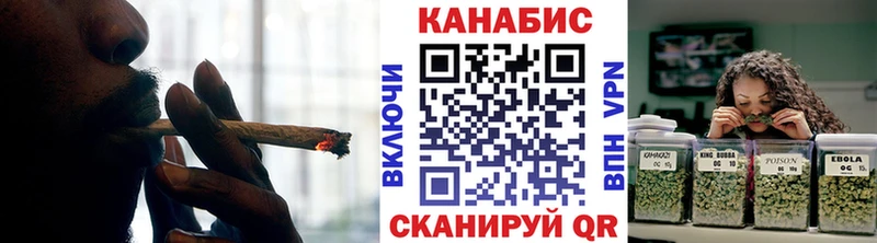где купить   Тогучин  Канабис семена 